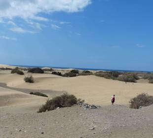Mitten in den Dünen