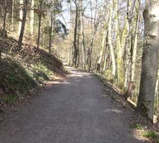 Spazierweg Ritter Museum