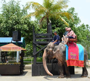 Dreamworld Bangkok