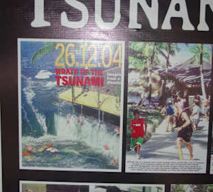 Tsunami Museum