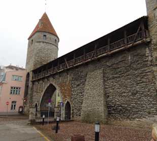 Крепостные стены