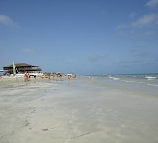 Am Strand entlang: Kot, Gestank, Verkäufer