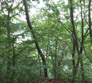 Hochgeträumt Premiumwanderung