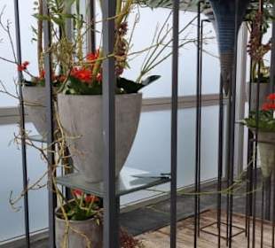 Zu sehen alles im Rosenhaus