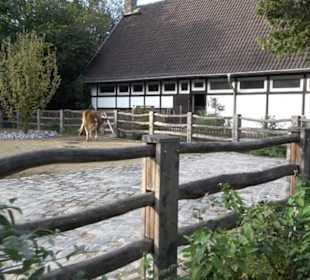 Zoologischer Garten