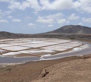 Die Salinen