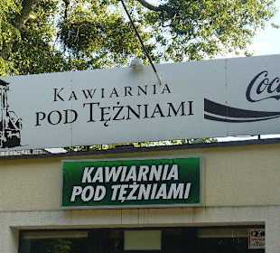 Kawiarnia Pod Tężniami