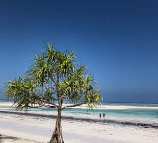 Strand Neptun Pwani 2