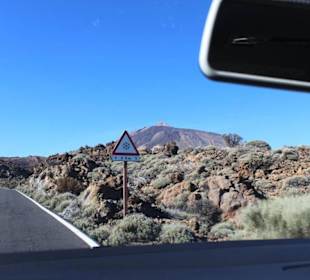 Fahrt zum Teide 