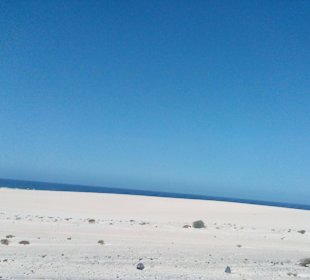 Parque Natural de las Dunas de Corralejo in Corral