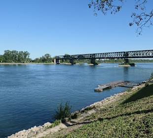 Rheinpromenaden-Bummel in Mainz