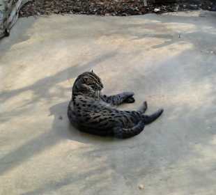 Tierpark Hellabrunn in München