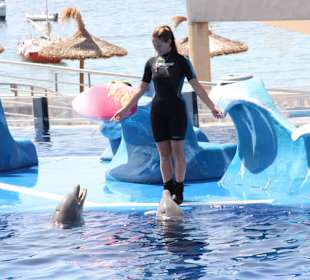 Marineland Mallorca