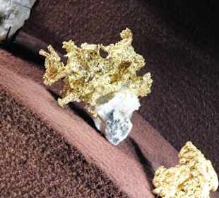 In der geologischen Abteilung