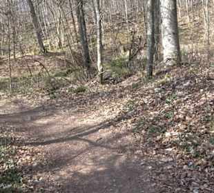 Geologischer Lehrpfad Kirnbachtal