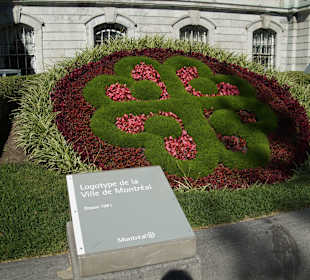 Pflanzenkunst vor dem Rathaus