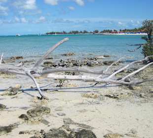 Princess Cays 