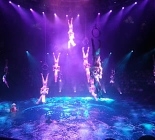 Show: La Reve... Unbedingt anschauen, traumhaft