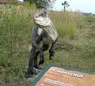 Dinopark