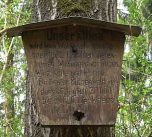 Vitus Mayer Waldlehrpfad