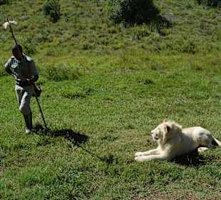 Pfleger sind immer dabei