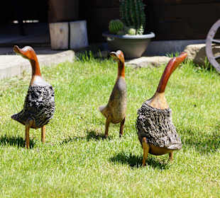 Wandern Oberwiesenthal