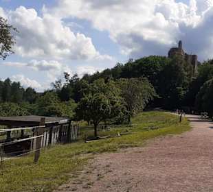 Burg Fleckenstein in Niedersteinbach, Frankreich