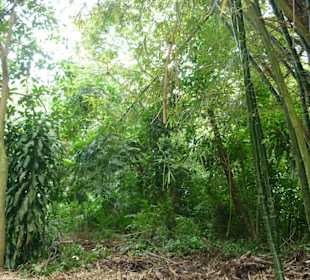 Der kleine SUNRA Garden