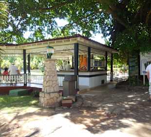 Café (frische & sehr leckere Pina Coladas 3CUC)