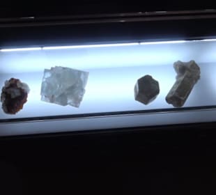 Museum für Naturkunde