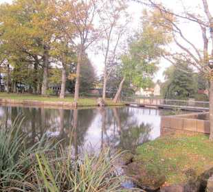 Schwanenweiher Kandel