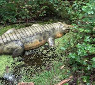 Dinosaurier Museum Altmühltal