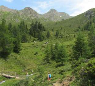 Aufdem Weg zur Mahdalm