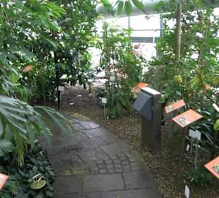 Tropicarium