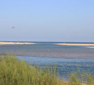 Blick in das Naturschutzgebiet