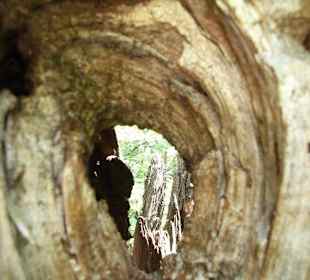 Klettergebiet Mazet-Plage