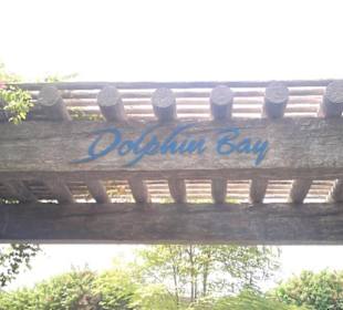 Die Dolphinbay