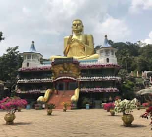 Der Goldene Tempel - Dambulla