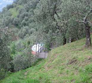 Auf dem Weg nach Benabbio