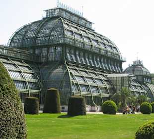 Palmenhaus