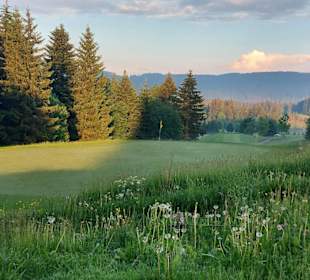 Wandern Hinterzarten