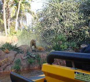 Universal Studio - jedna z atrakcji 