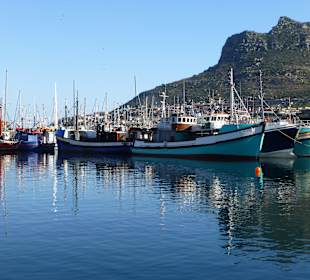 Hafen in Hout Bay