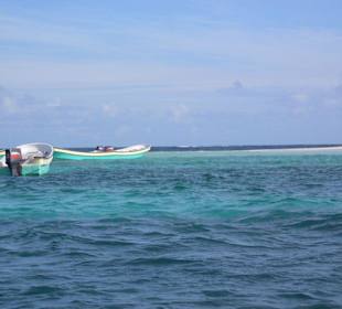 Ausflug auf die Paradies Insel