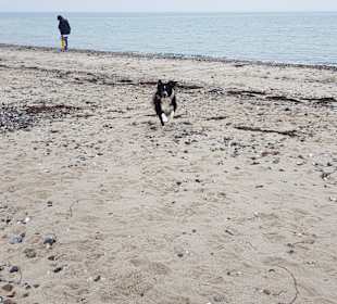 Strand Fehmarn