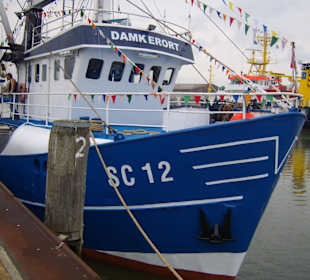 Kutter Damkerort