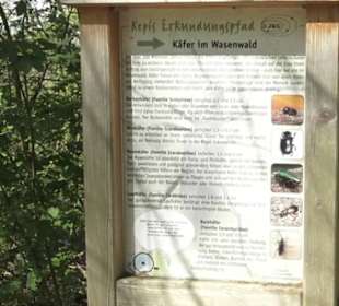Wanderweg Hochgehwachsen