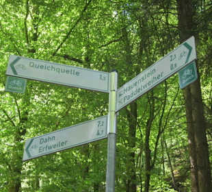 Auf dem Weg zur Queichquelle
