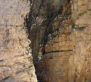 Weg durch die Schlucht