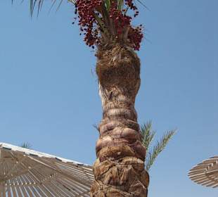 Strand vom Nachbarhotel